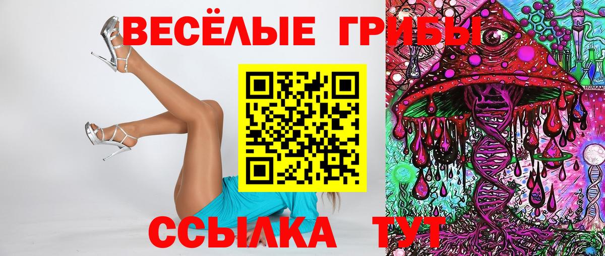 Галлюциногенные грибы Magic Shrooms  Вход с VPN  Щёлково 