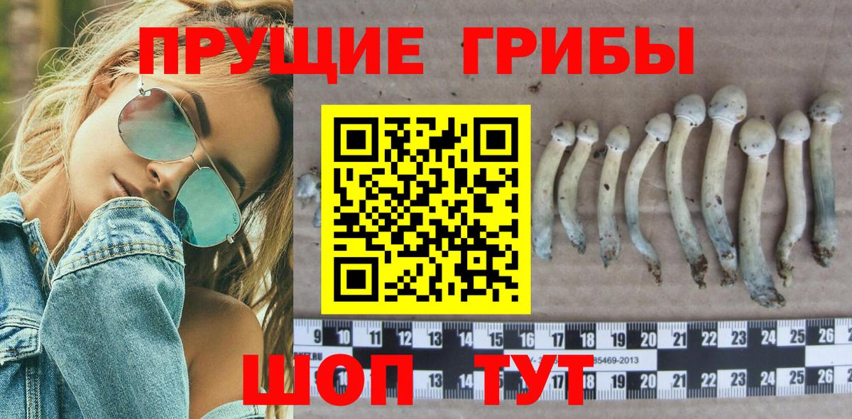 Псилоцибиновые грибы Cubensis Щёлково